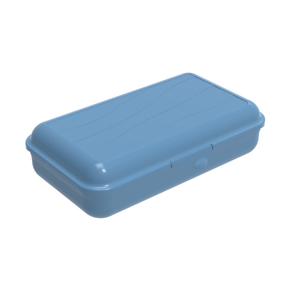 rotho Vesperbox L Fun 1,7l blau
