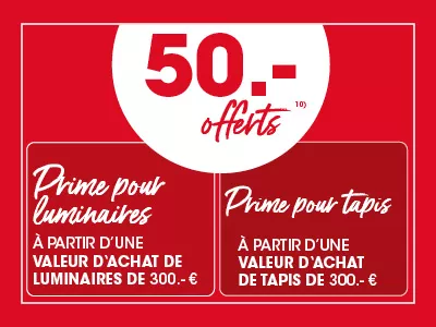 Prime luminaires et tapis : à partir d’un montant d’achat de 300 € chacun, 50 € offerts. Exclusion 10.