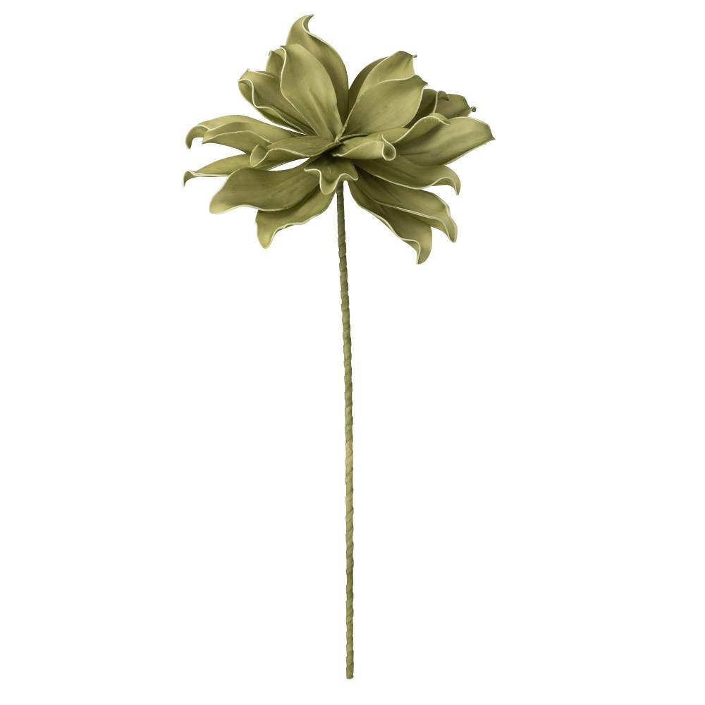 Blume Ast grün