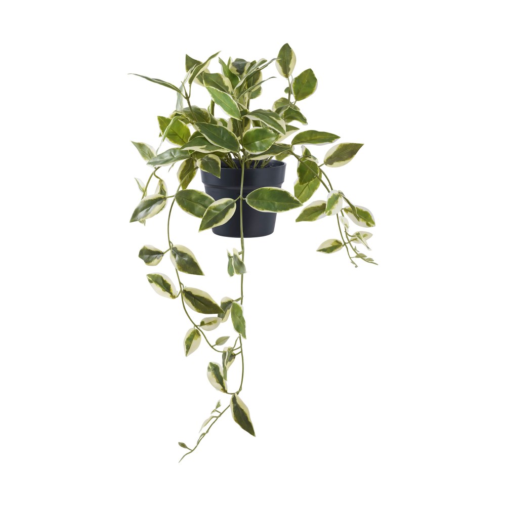 nilla Kunstpflanze Hoya