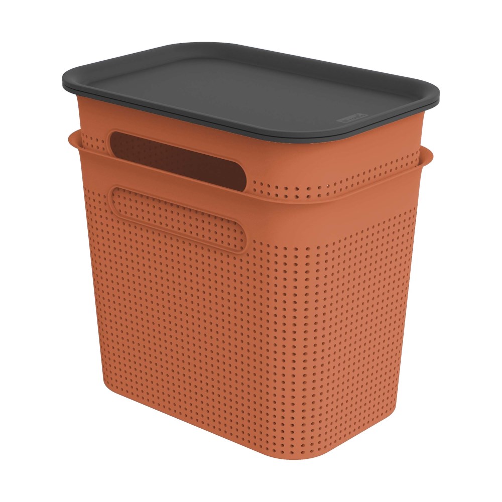 rotho Boxen-Set 2tlg mit Deckel 7L BRISE