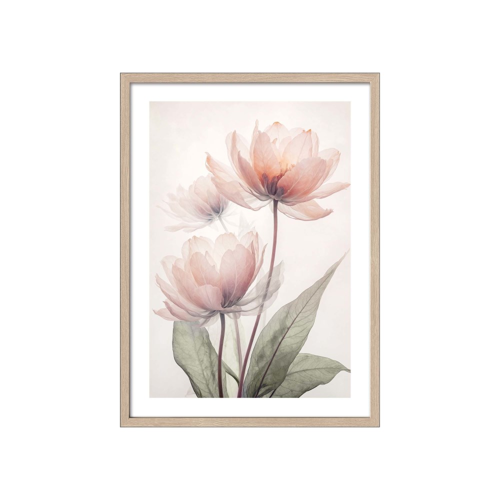 Bild Transparent Flowers X