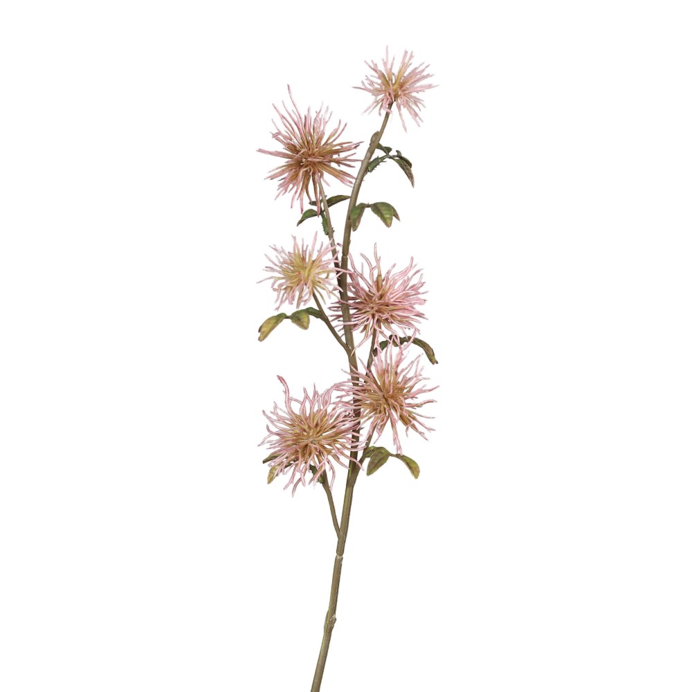 Hamameliszweig rose/grün
