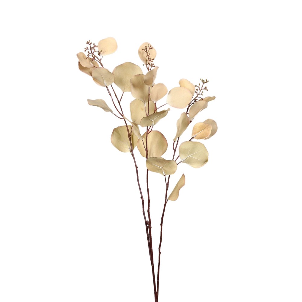 Eukalyptus sand/braun